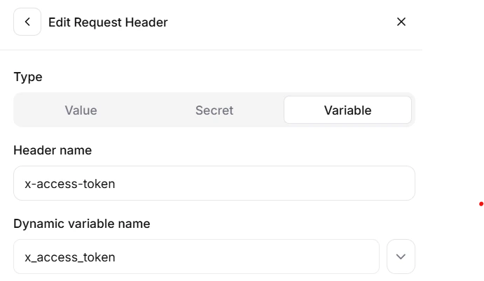 Custom Variable