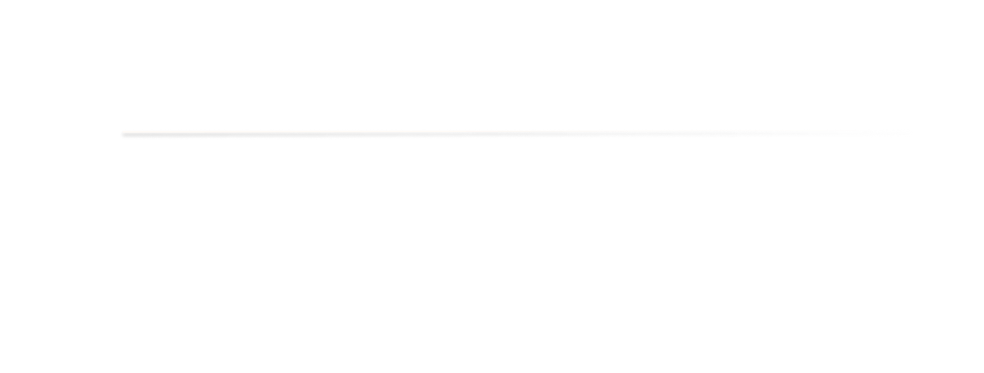 light logo