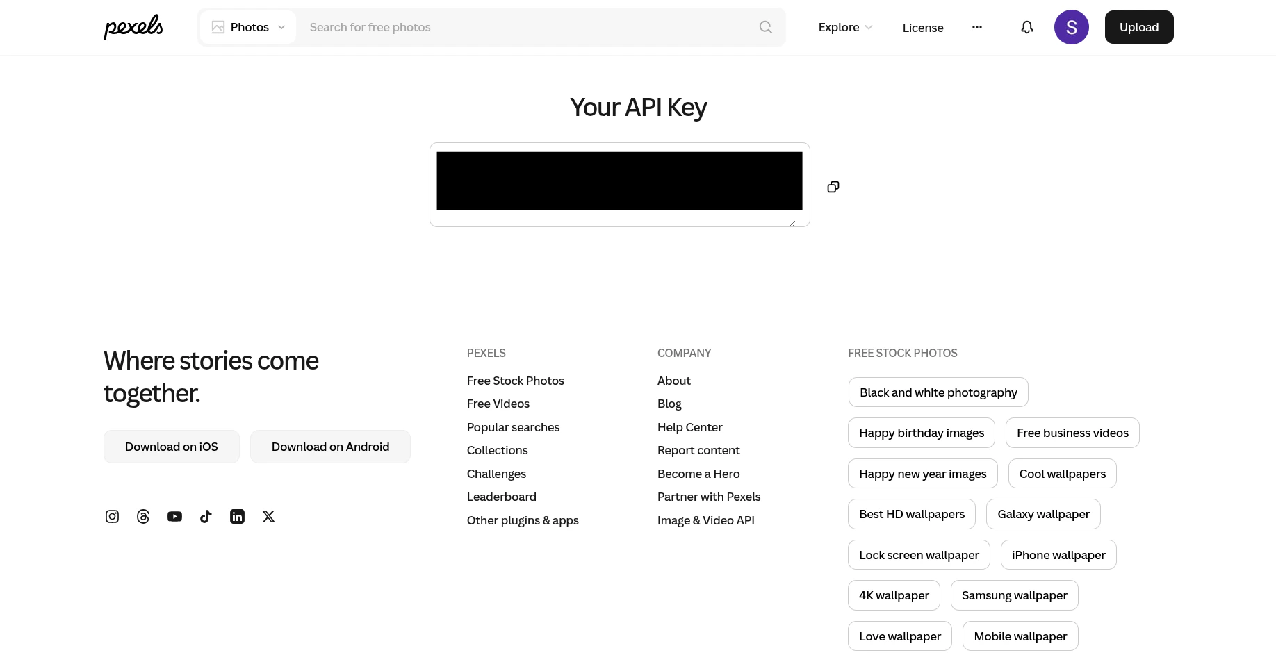 Pexels Your API Key page showing the API key field and a copy icon
