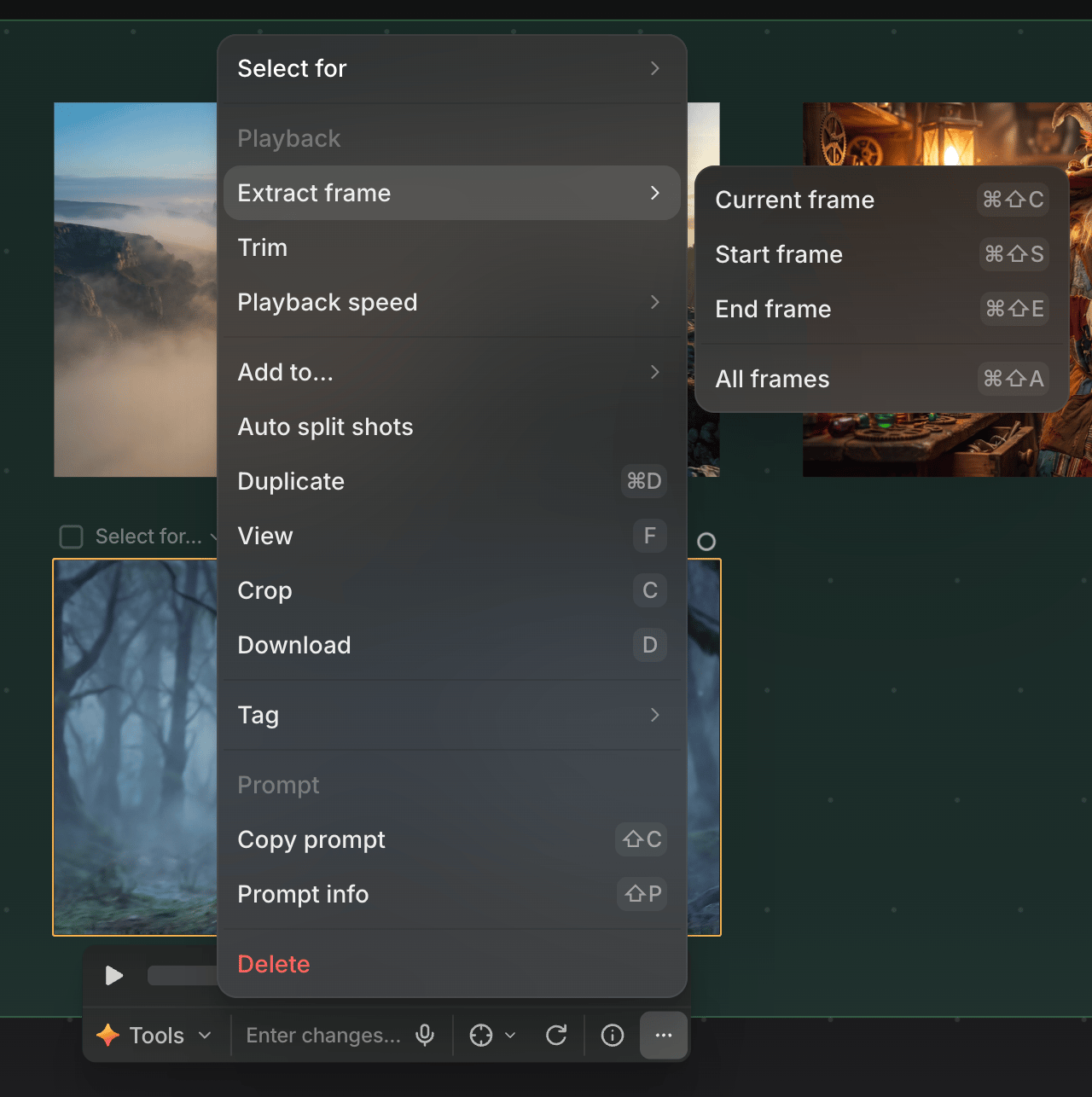 More menu Playback section
