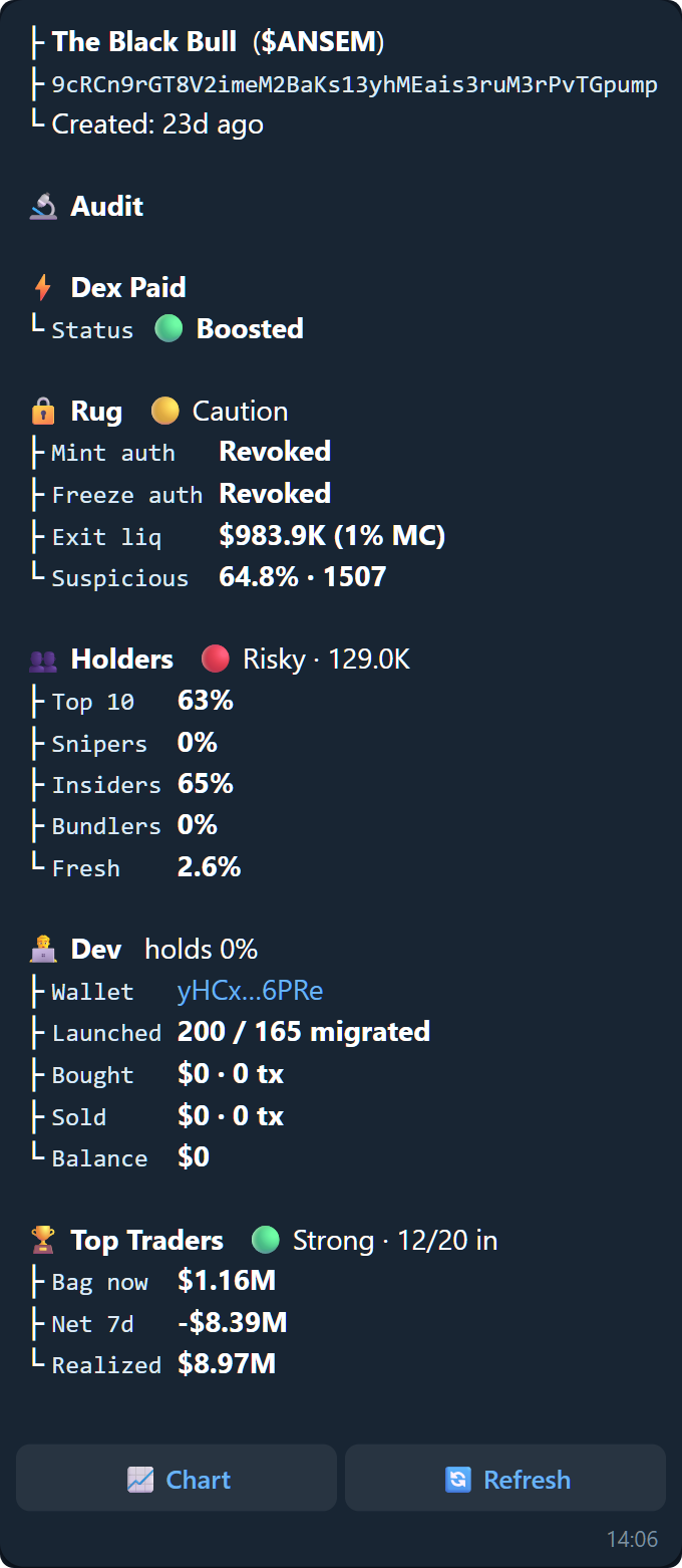 The audit reply: Dex Paid, Rug, Holders, Dev, and Top Traders blocks with verdicts