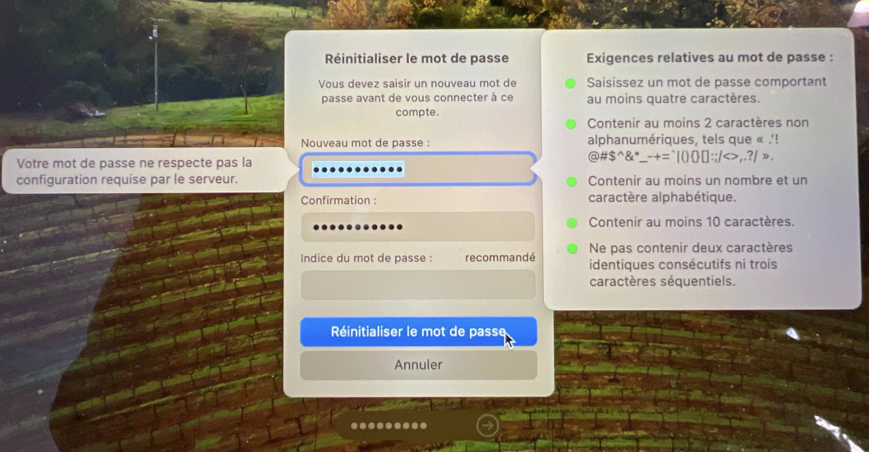 Screenshot: Mein Computer fordert mich auf, mein Passwort zu ändern, lässt mich das aber nicht zu: