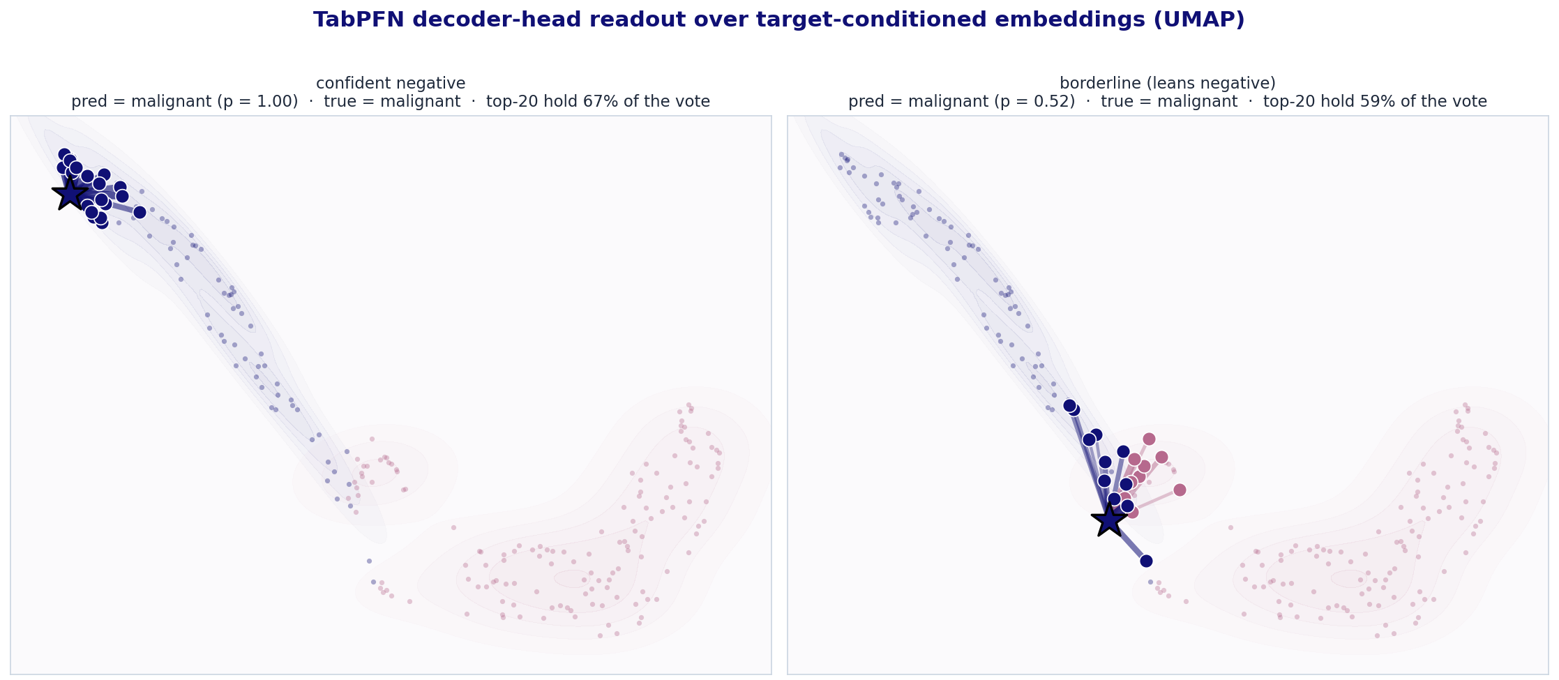 Two decoder-head attention readouts over target-conditioned embeddings: a confident negative prediction and a borderline negative prediction