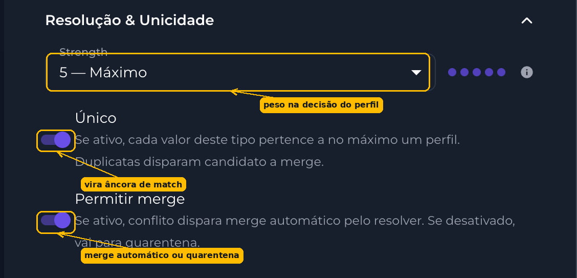 Seção Resolução e Unicidade da configuração de identidade