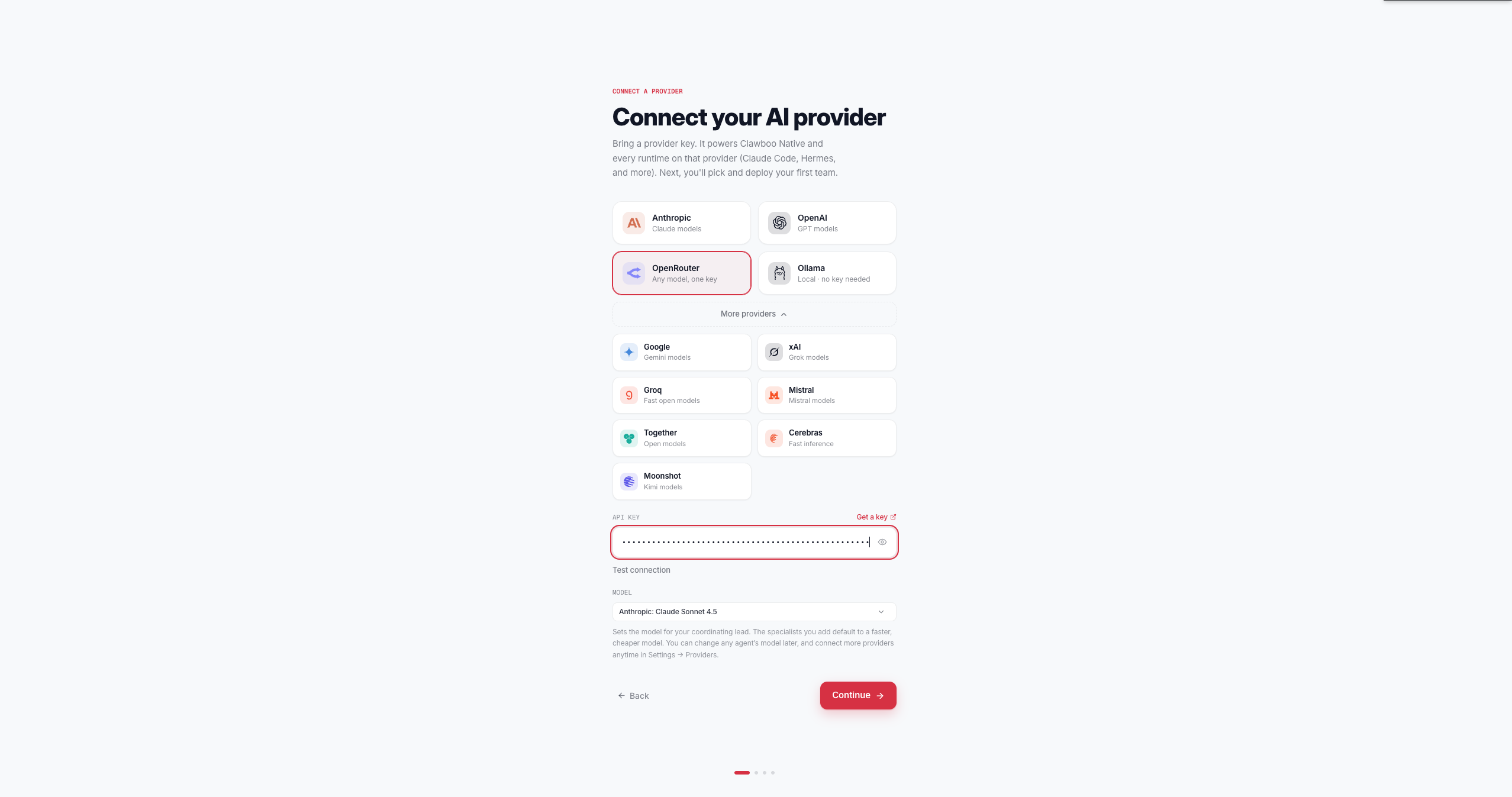The provider connect step with OpenRouter selected: provider cards, the API key field, and the leader model picker