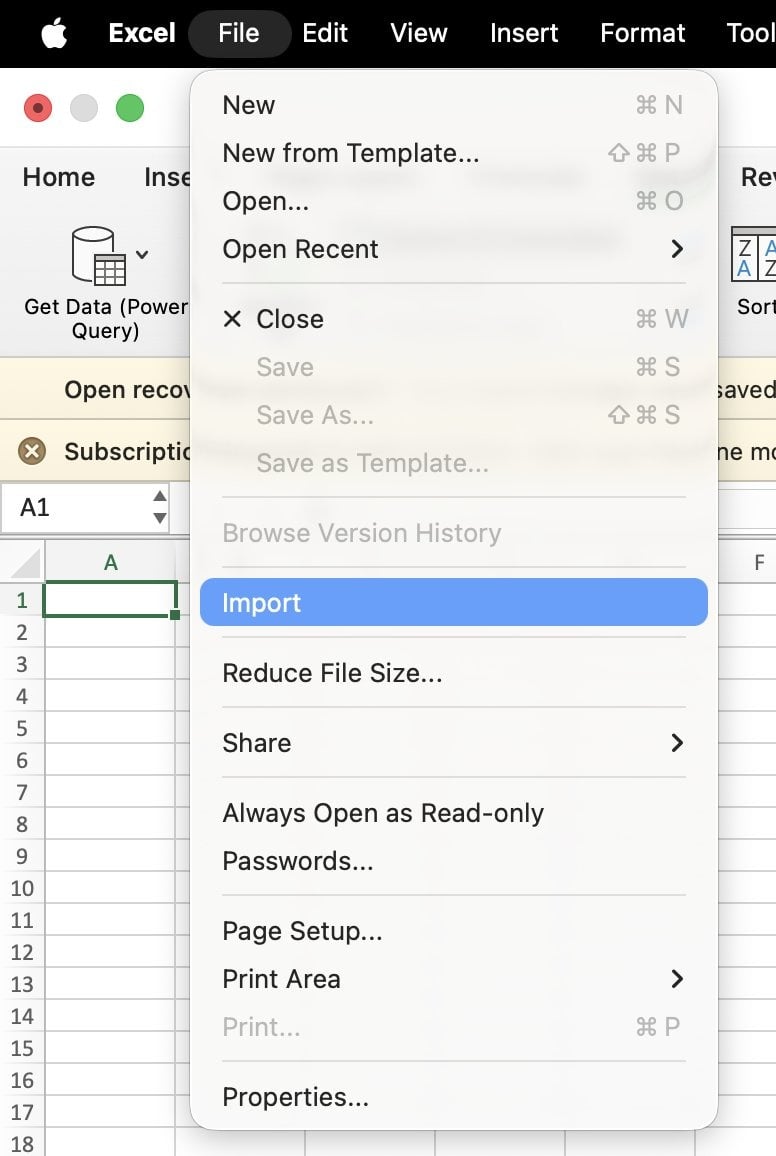 Step 1 – Open the file in Excel