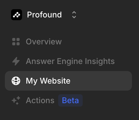 My Website Tab