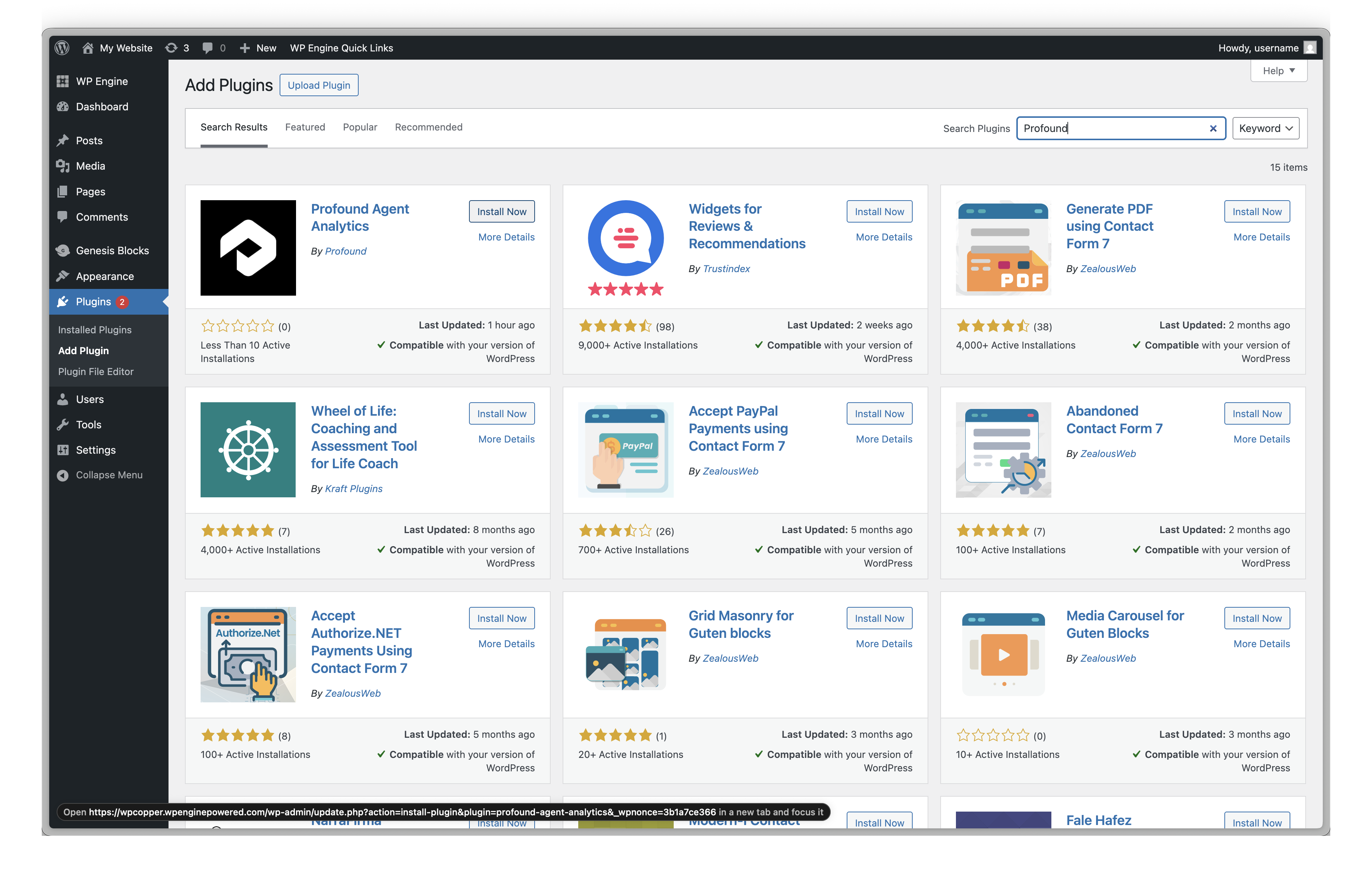 WordPress Plugin Installation - Profound