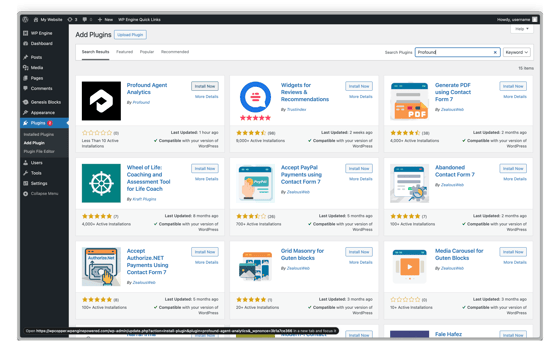 Profound Analytics WordPress Plugin Installation - Profound