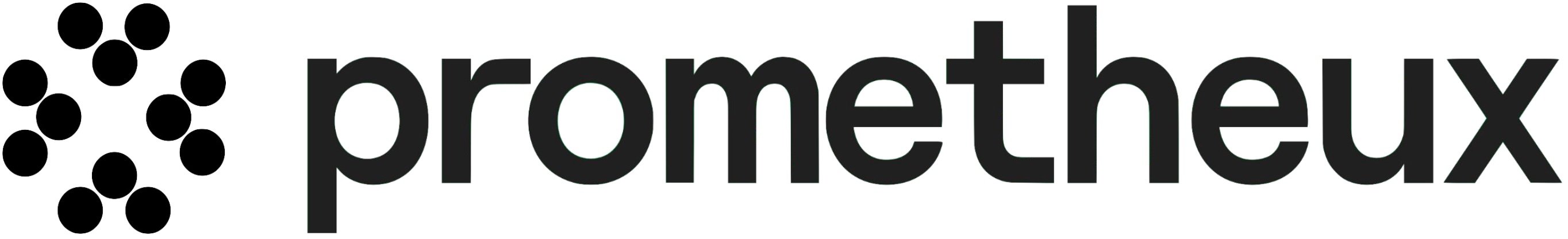 light logo