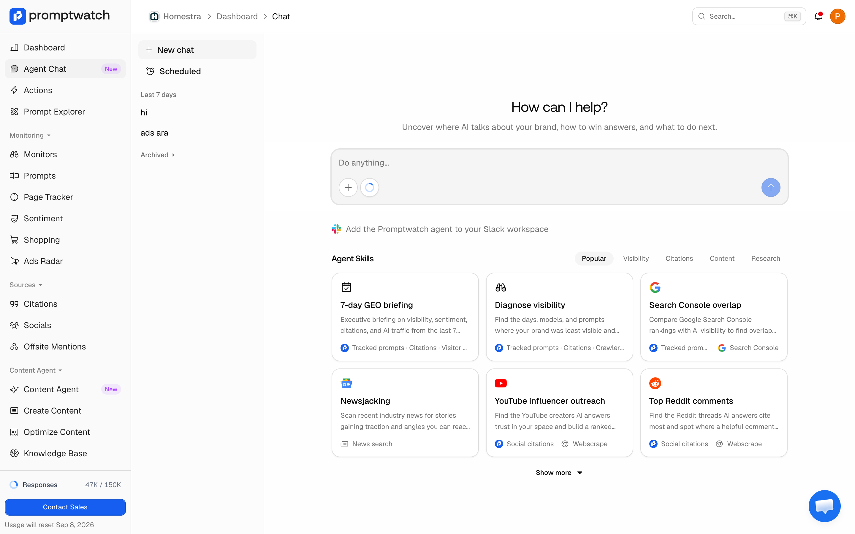 A new Promptwatch Agent Chat showing the Agent Skills grid, conversation history, and the input bar with the tool picker.