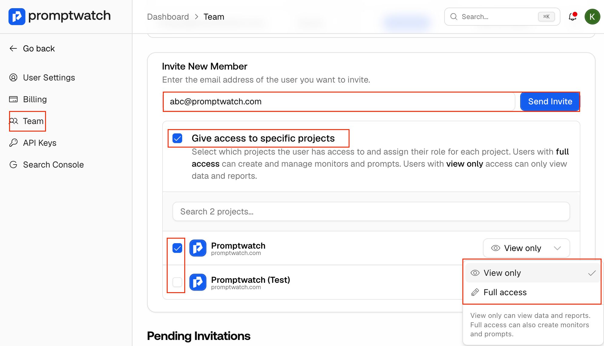How can I invite a team member to the platform?