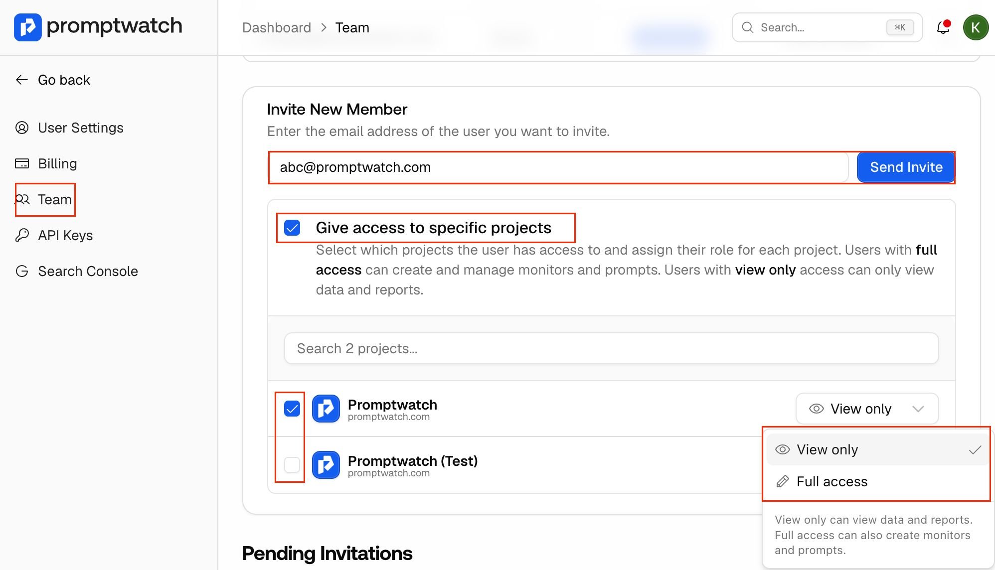 How can I invite a team member to the platform?