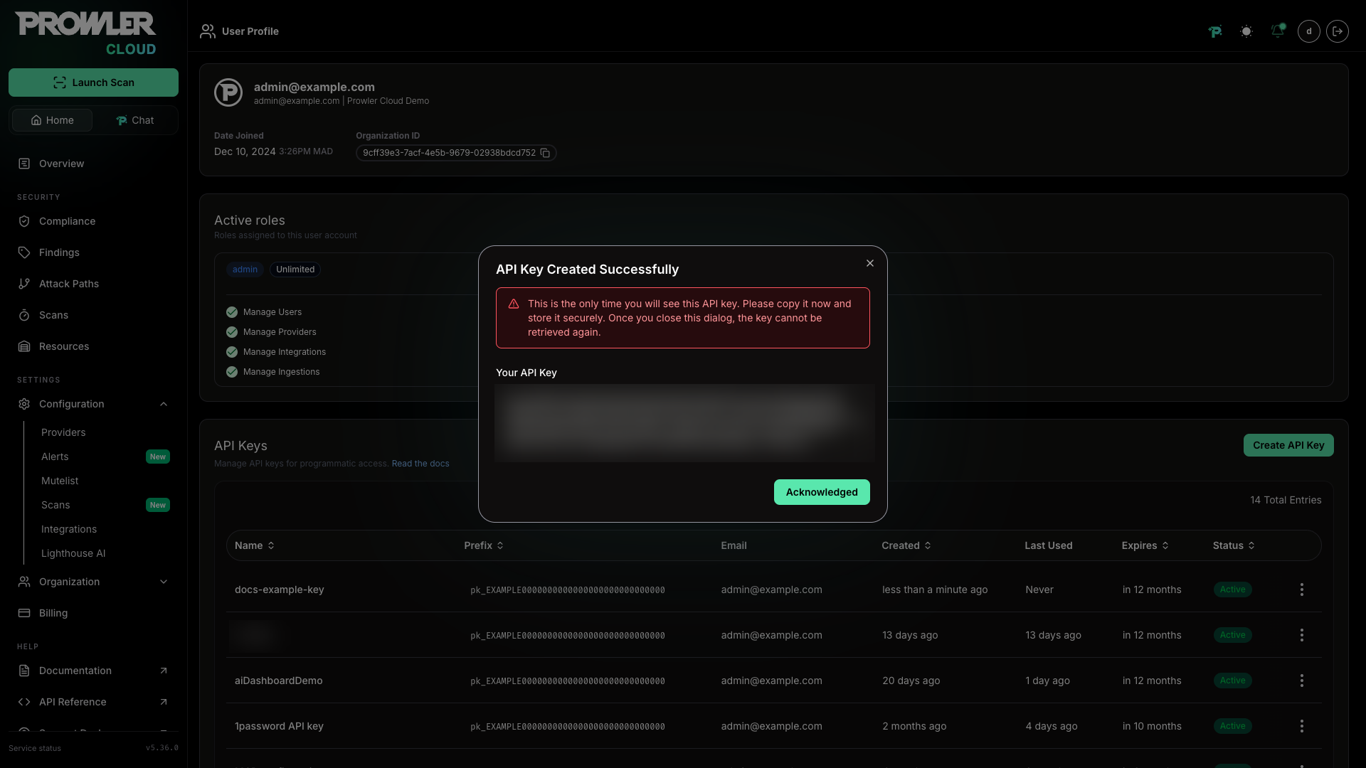 API key created successfully