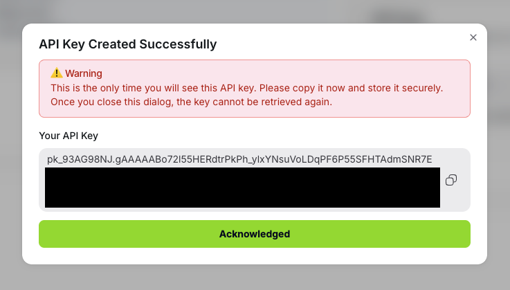 API key created successfully