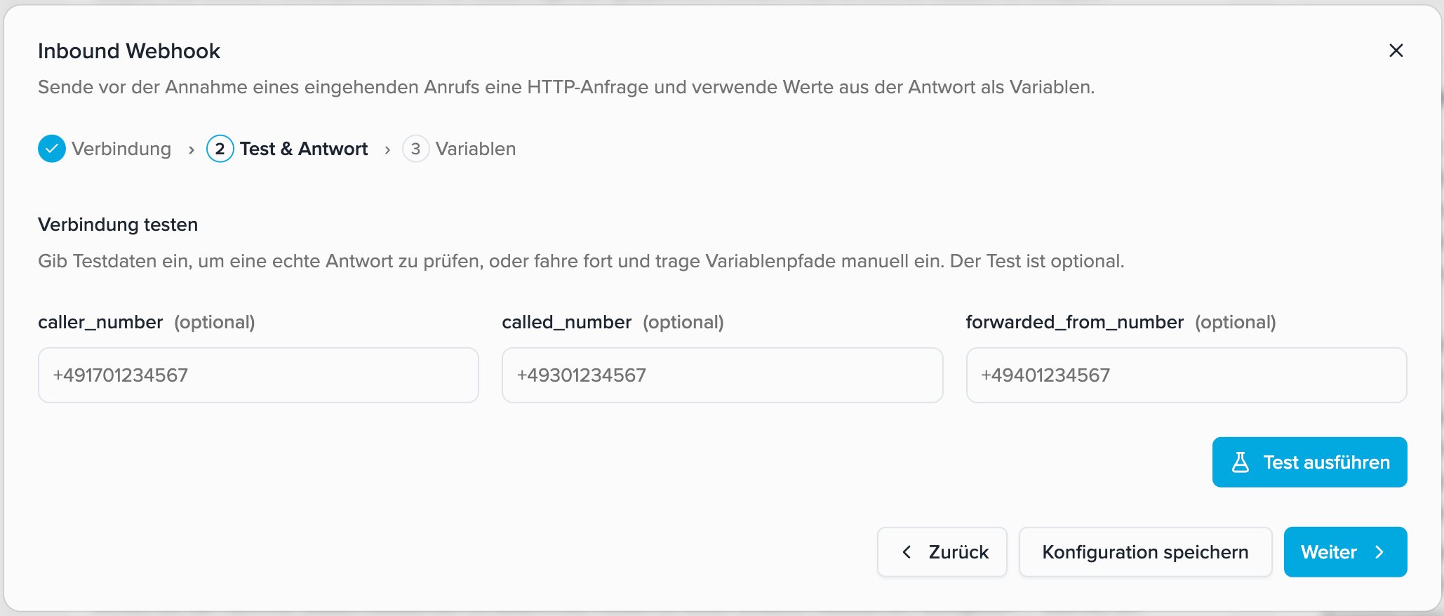 Optionale Testdaten für die HTTP-Anfrage