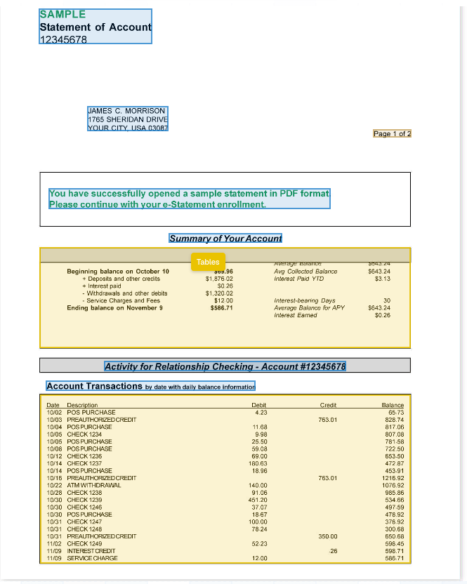 Bank statement with standard layout bounding boxes overlaid