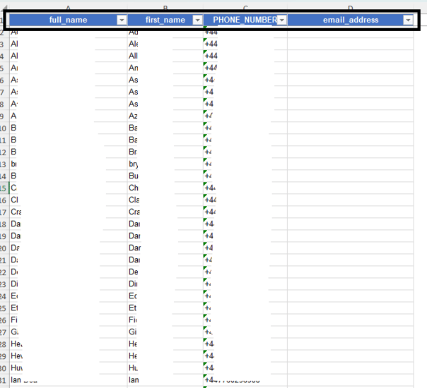 04 Excel Customisablecolumn