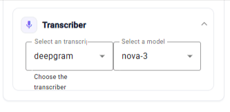 17 Transcriber Settings