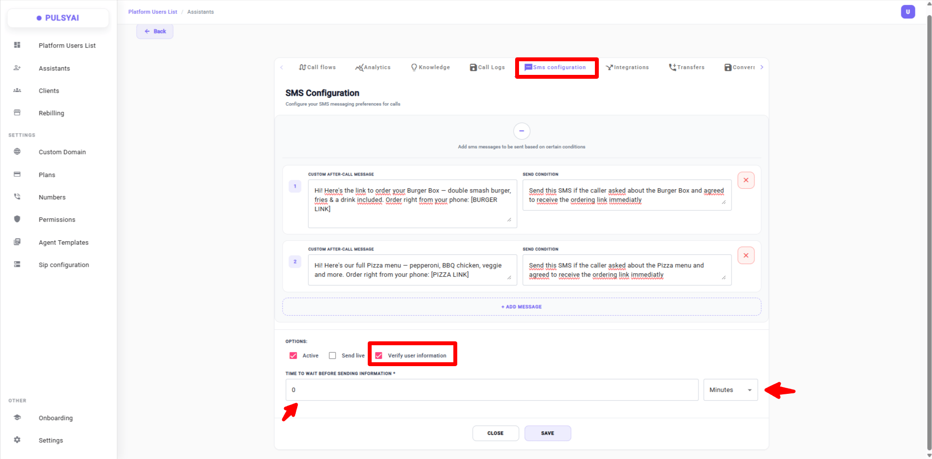 When Verify User Information is enabled, the 'Time to wait before sending information' field appears — set the delay in minutes, hours, or days before PulsyAI pushes the lead data automatically.