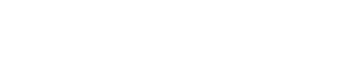 light logo
