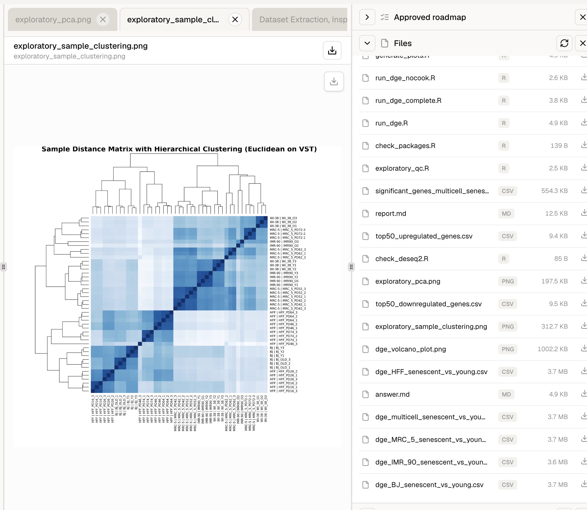 Sample distance heatmap with hierarchical clustering displayed beside the analysis files