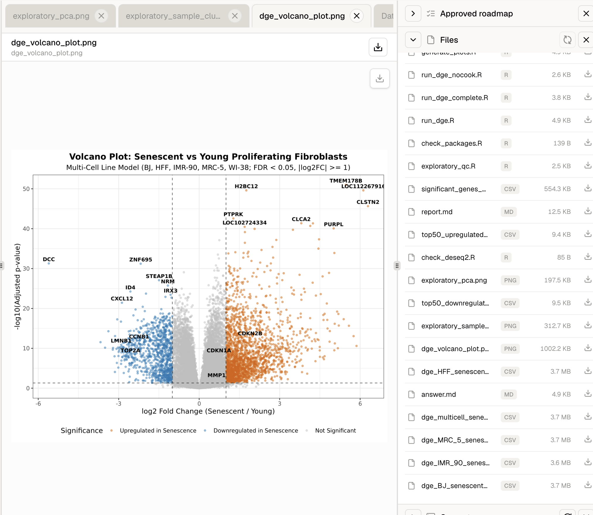 Volcano plot comparing senescent and young proliferating fibroblasts