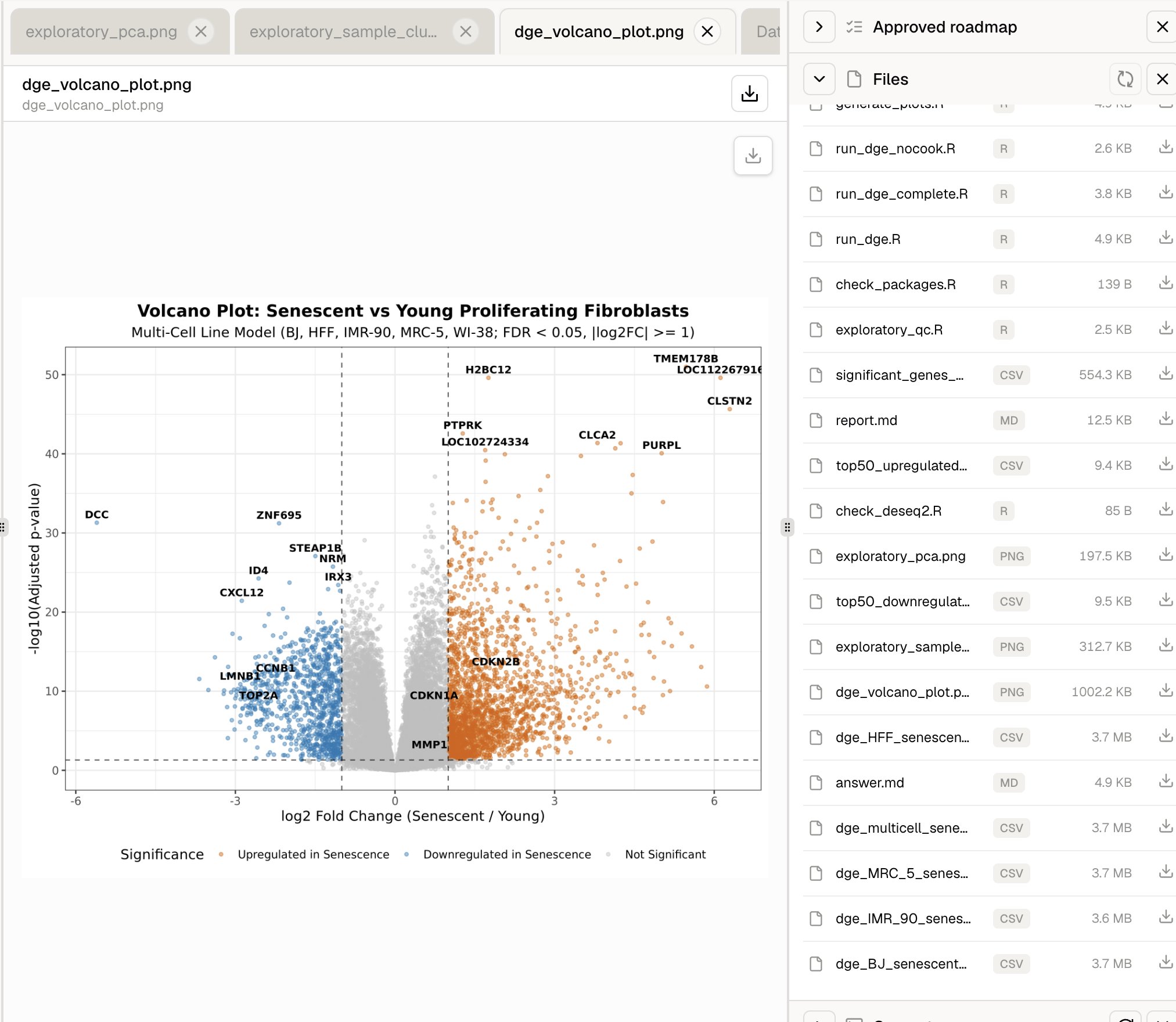 Volcano plot comparing senescent and young proliferating fibroblasts