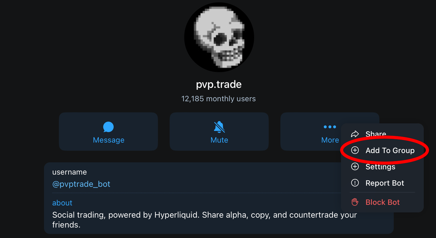 Set up the bot