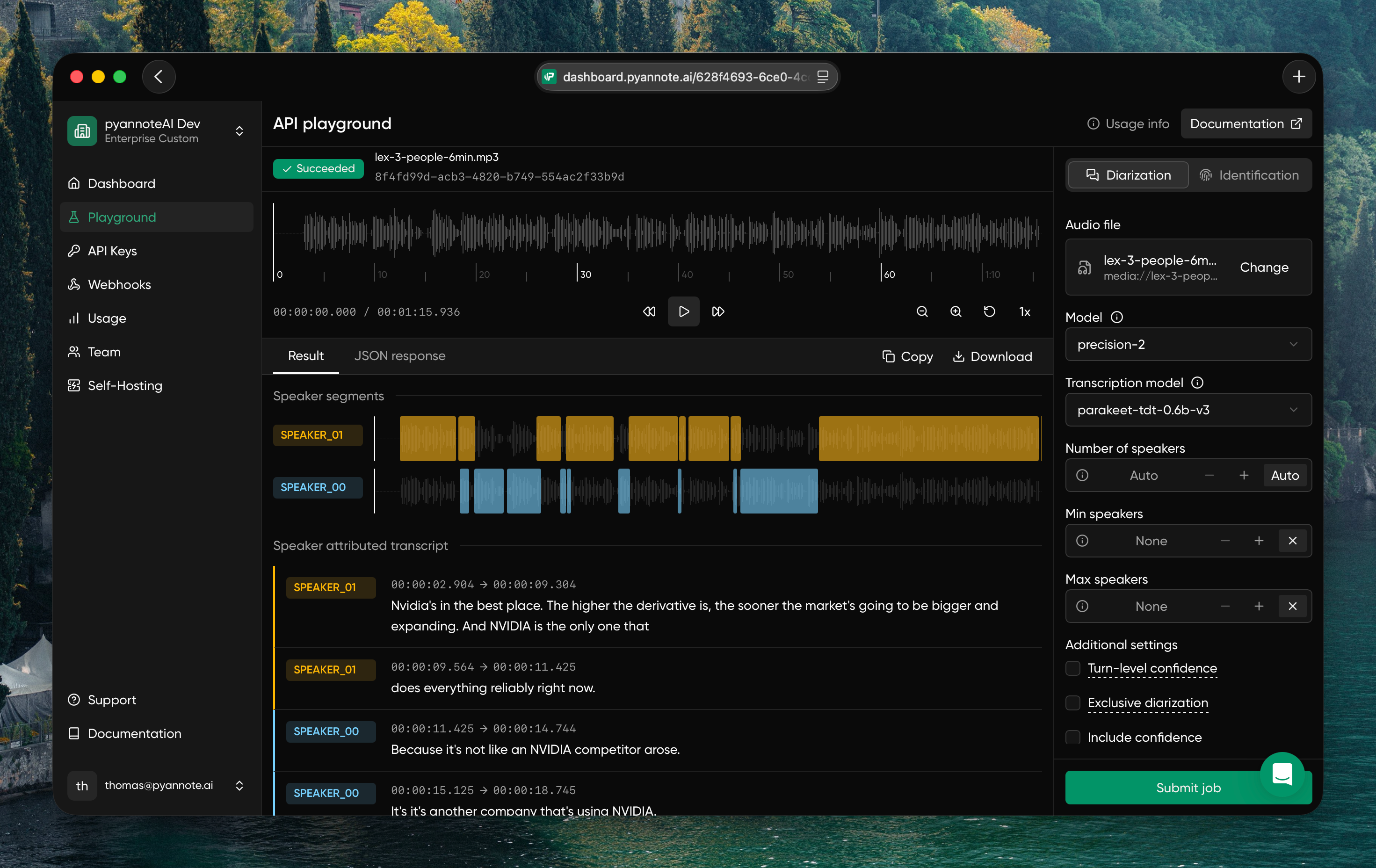 API playground results view