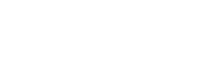 light logo