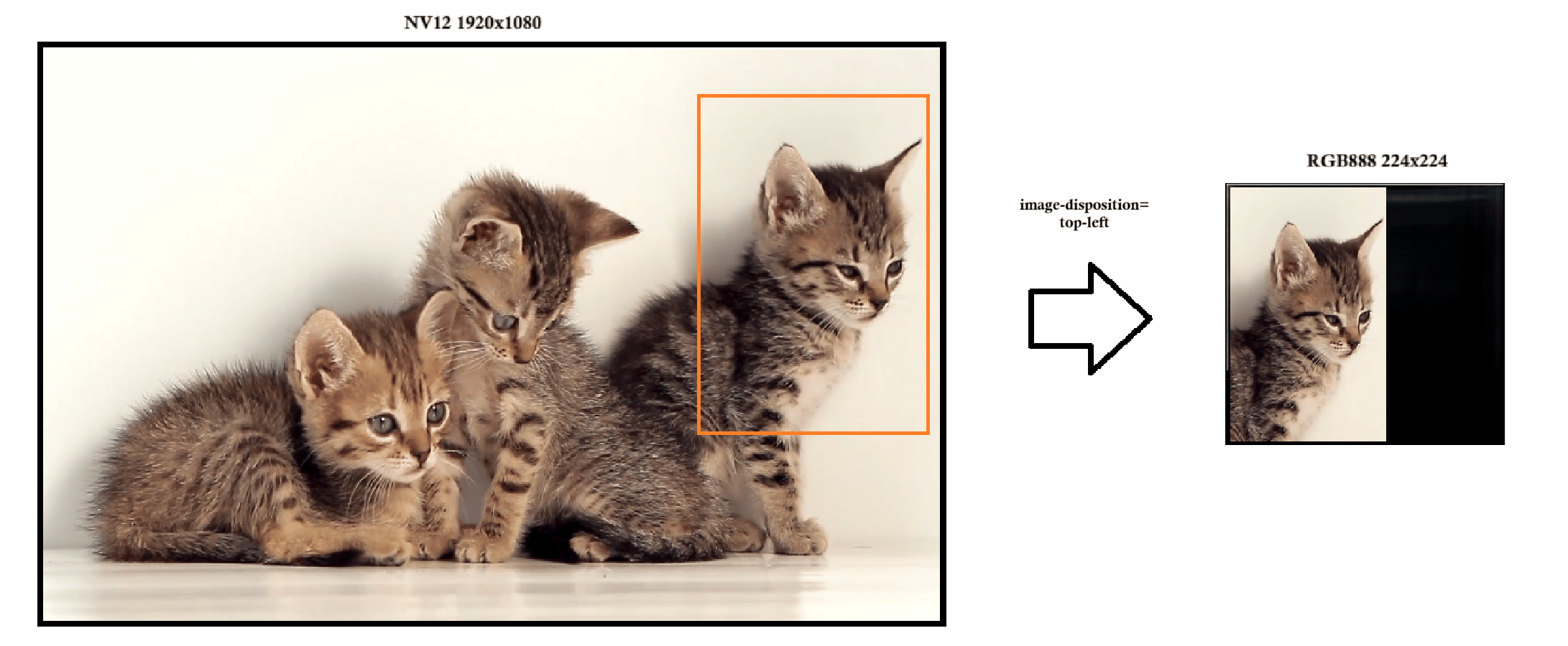 image_disposition