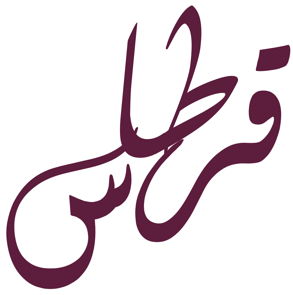 light logo