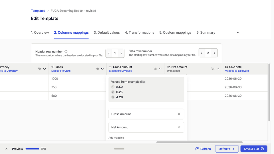 Correct the Net amount column mapping, preview the result, and save the template.