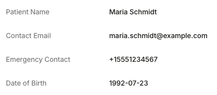 Textual fields displayed as key-value rows