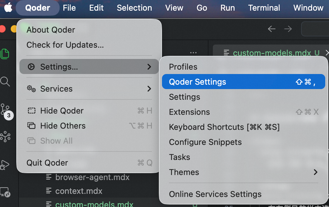 Qoder Settings Menu
