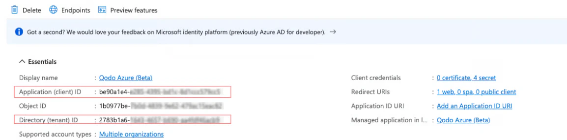 Microsoft Azure App registration Overview page showing Application and Directory IDs