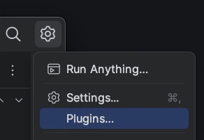 JetBrains settings menu showing Plugins option