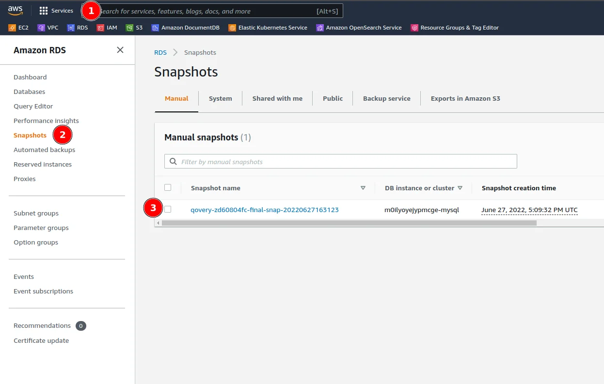 Database snapshot quota exceeded