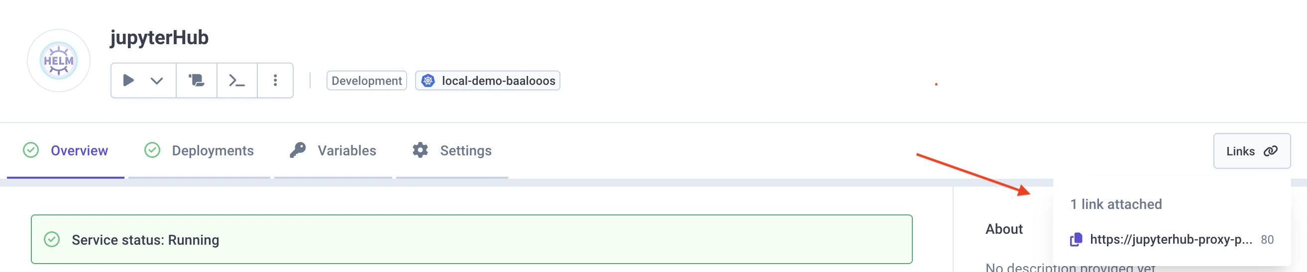 Access JupyterHub link