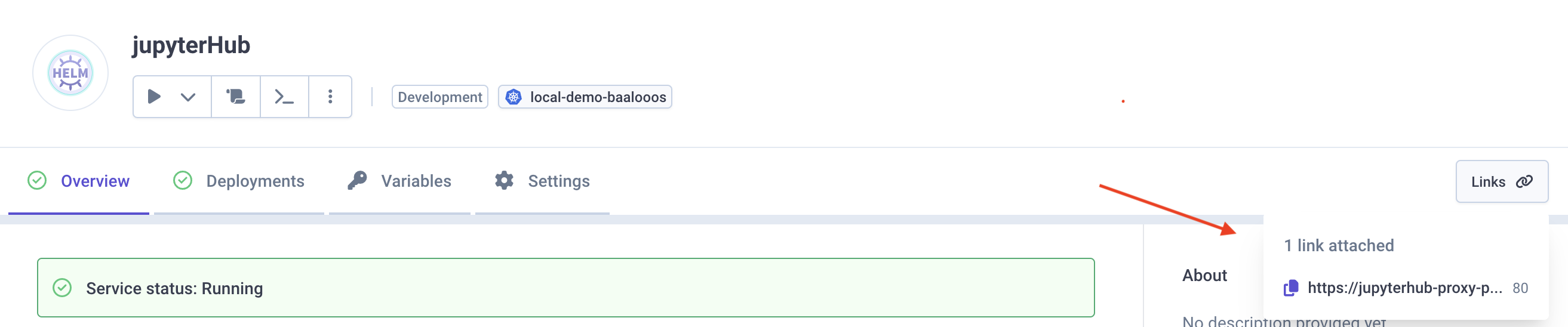 Access JupyterHub link