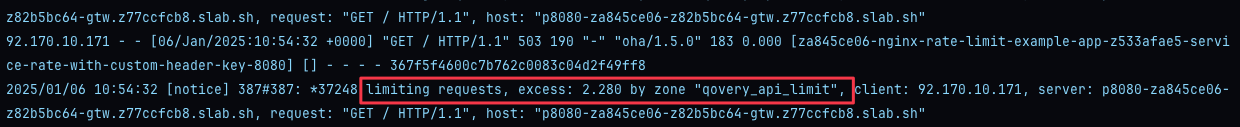 NGINX logs with custom header