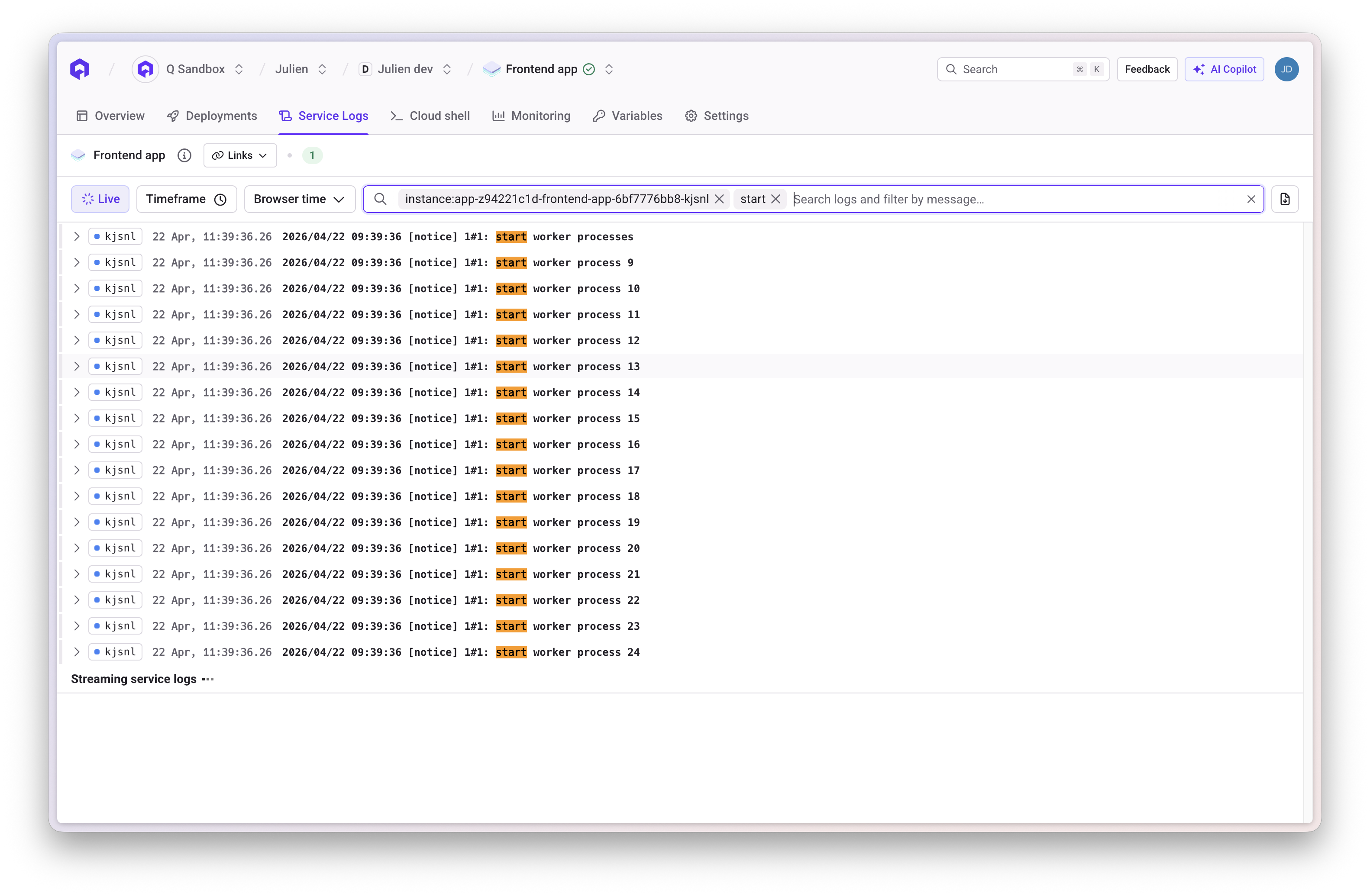 Filtered Logs