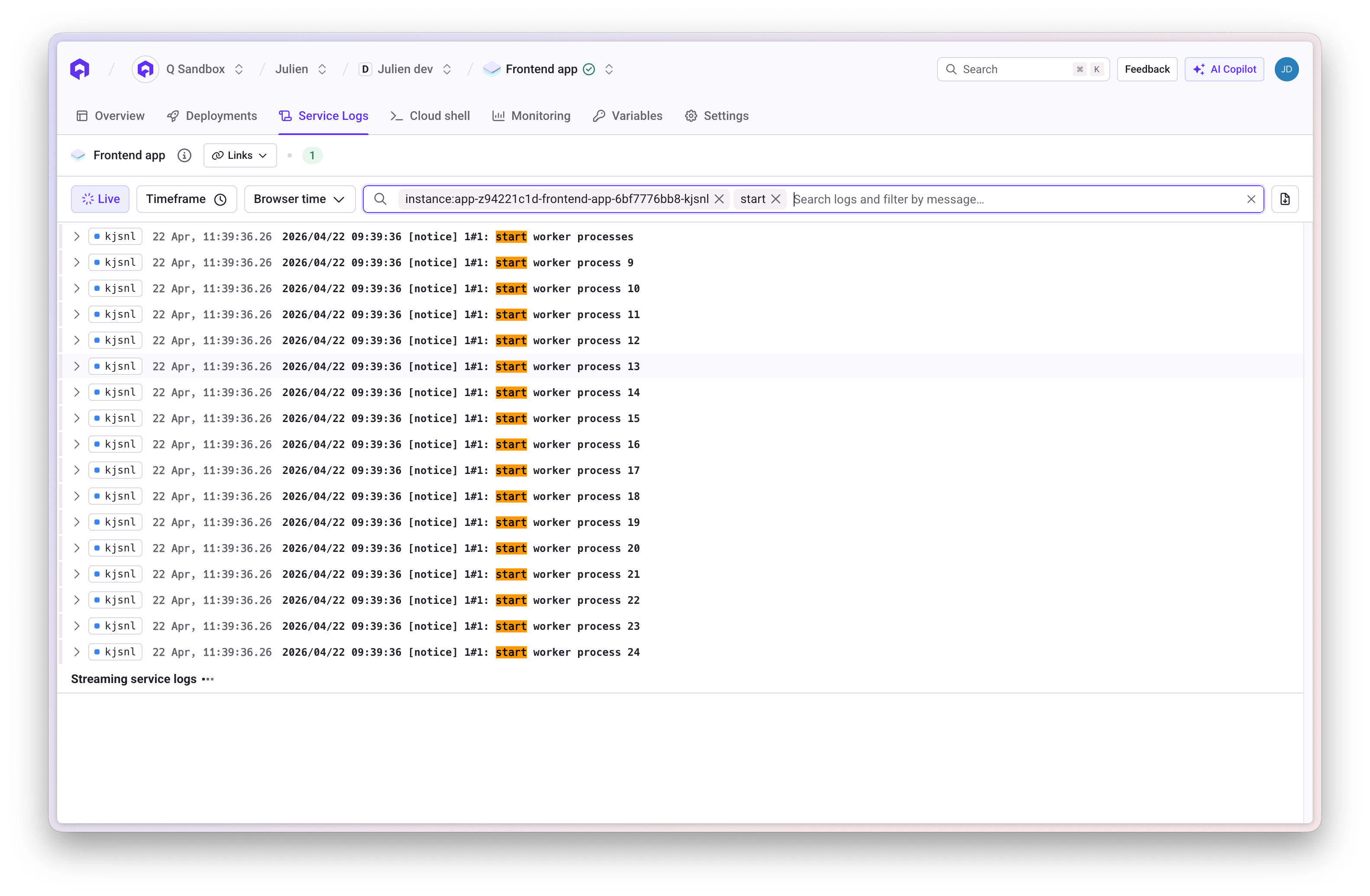 Filtered Logs