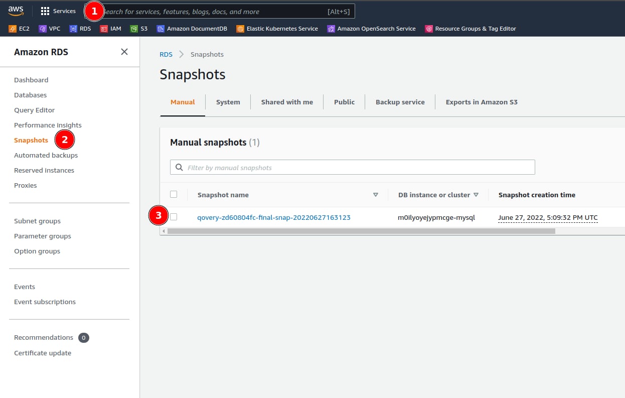 Database snapshot quota exceeded