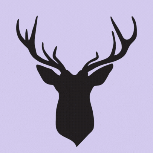 Animation showing the one-click conversion process from image to frame in Image to Frames