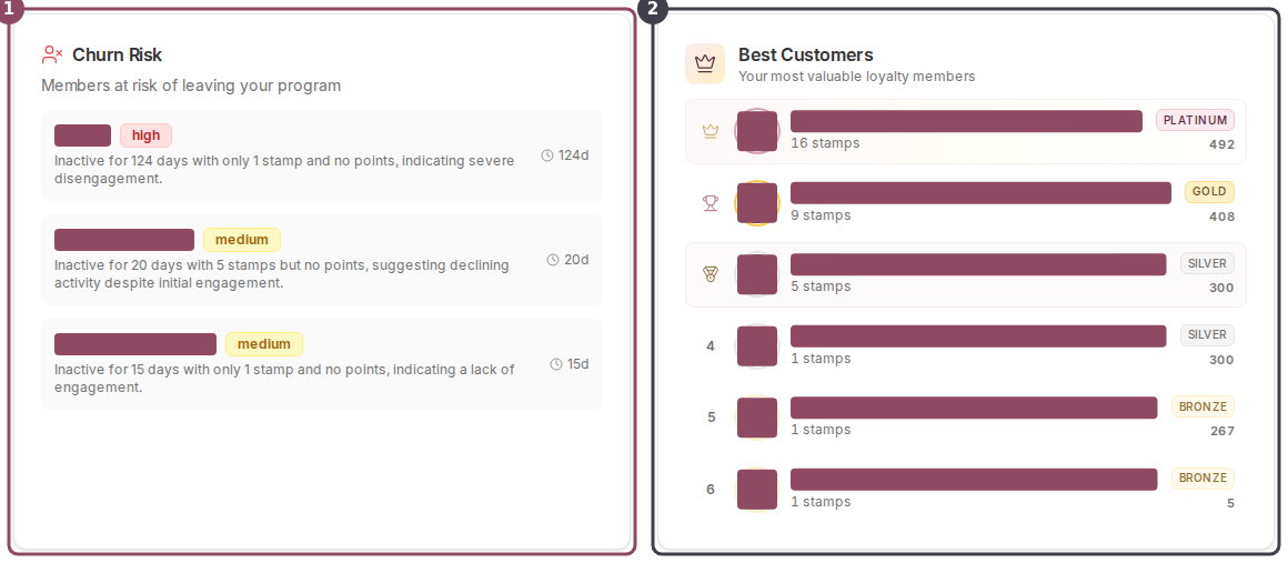 The Churn Risk and Best Customers cards side by side at the bottom of the Analytics page