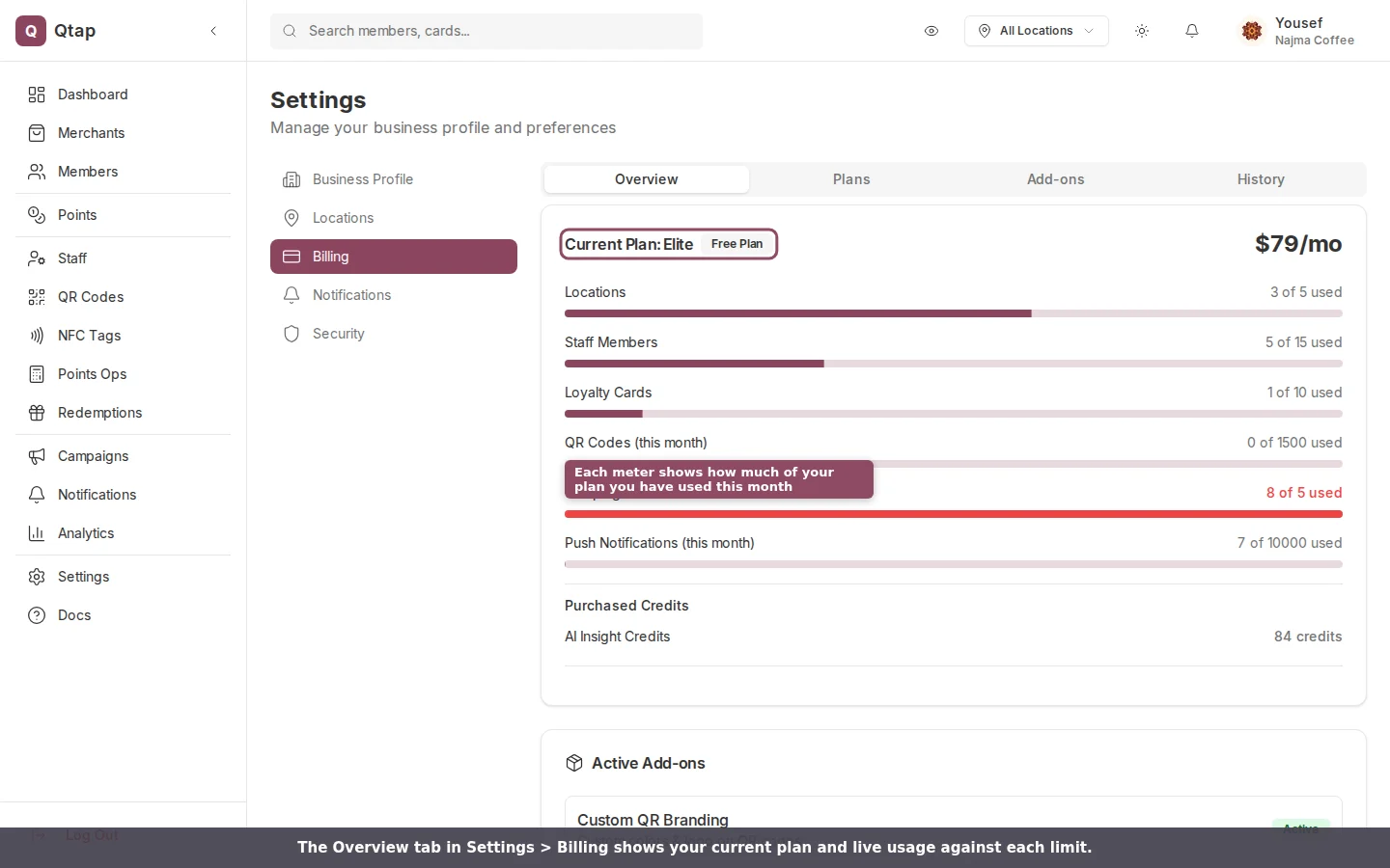 Settings Billing overview with usage meters for locations, staff, cards, QR codes, and campaigns