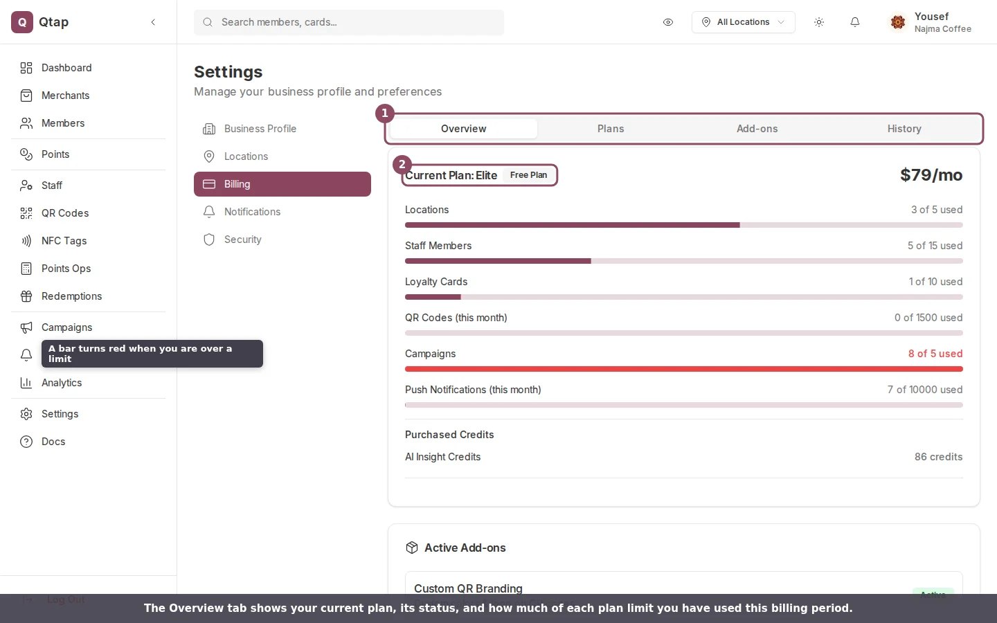 Billing Overview tab showing the current plan and usage meters