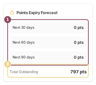 Points Expiry Forecast card showing zero points expiring and a total outstanding balance